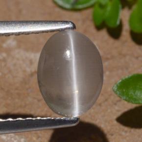 Sillimanite œil de chat Fumée naturelle Coupe ovale, 1.29 ct, Transparent