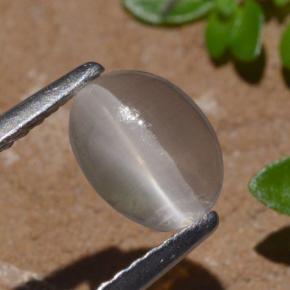 Sillimanite œil de chat Fumée naturelle Coupe ovale, 1.29 ct, Transparent