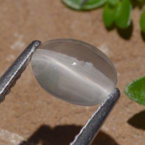 Sillimanite œil de chat Fumée naturelle Coupe ovale, 1.29 ct, Transparent