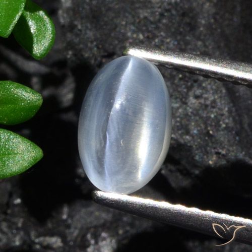 1.70ct Naturel Clair Sillimanite œil de chat, ovale, Transparent