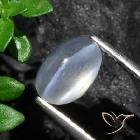 Sillimanite œil de chat Clair naturelle ovale, 1.70 ct, Transparent