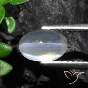 Sillimanite œil de chat Clair naturelle ovale, 1.70 ct, Transparent