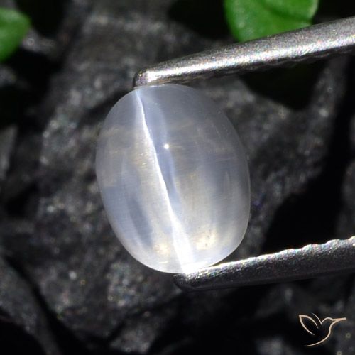1.61ct Naturel Clair Sillimanite œil de chat, ovale, Transparent