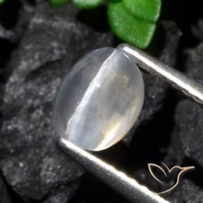 Sillimanite œil de chat Clair naturelle ovale, 1.61 ct, Transparent