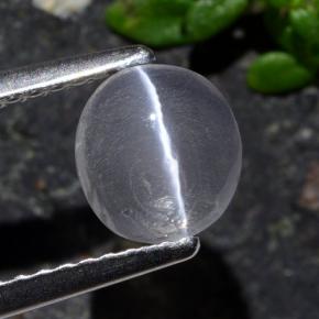 Sillimanite cat's eye gris naturelle coupe ovale, 1,03 ct, transparent