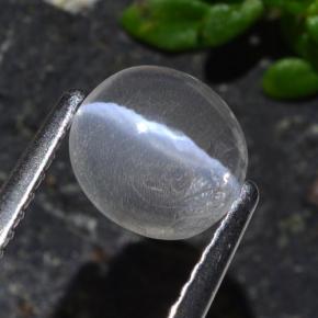 Sillimanite cat's eye gris naturelle coupe ovale, 1,03 ct, transparent