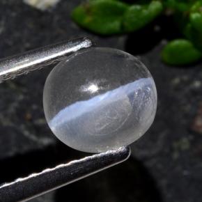 Sillimanite cat's eye gris naturelle coupe ovale, 1,03 ct, transparent
