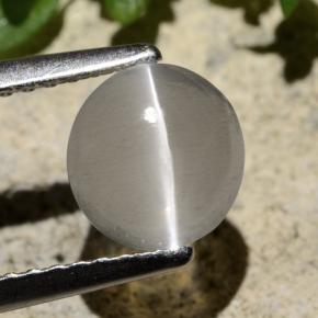 Sillimanite œil de chat Fumée naturelle Coupe roude, 1.59 ct, Transparent