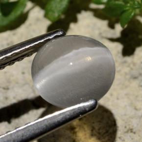 Sillimanite œil de chat Fumée naturelle Coupe roude, 1.59 ct, Transparent