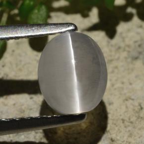 Sillimanite œil de chat Fumée naturelle Coupe ovale, 1.57 ct, Transparent