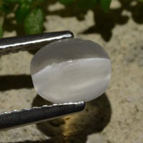 Sillimanite œil de chat Fumée naturelle Coupe ovale, 1.57 ct, Transparent