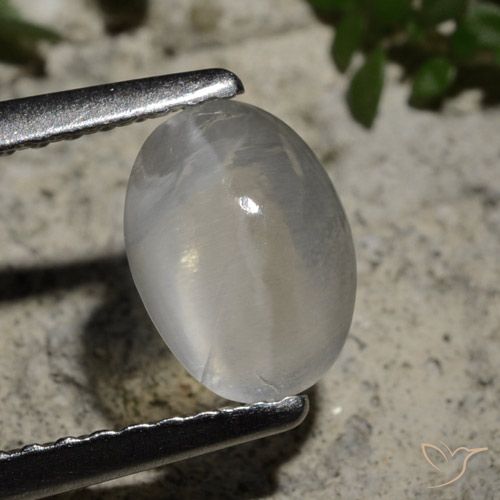 1.44ct Naturel Blanc clair Sillimanite œil de chat, ovale, Transparent