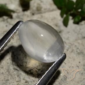 Sillimanite œil de chat Blanc clair naturelle ovale, 1.44 ct, Transparent