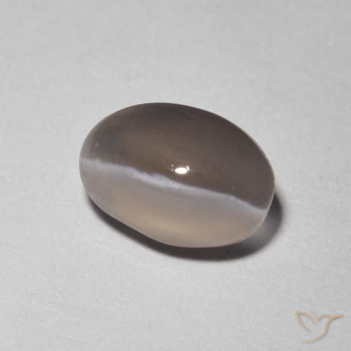 Sillimanite œil de chat Gris très clair naturelle ovale, 1.48 ct, Transparent