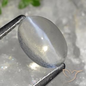Sillimanite œil de chat Gris très clair naturelle ovale, 1.49 ct, Transparent