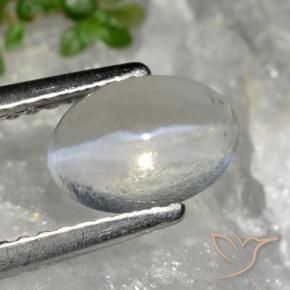 Sillimanite œil de chat Gris très clair naturelle ovale, 1.49 ct, Transparent