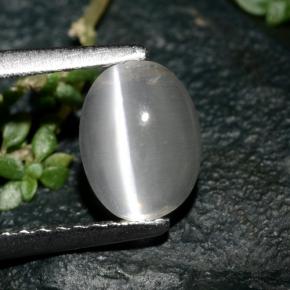 Sillimanite cat's eye gris naturelle coupe ovale, 1,39 ct, transparent