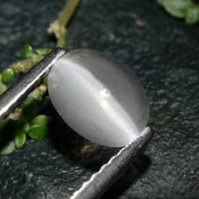 Sillimanite cat's eye gris naturelle coupe ovale, 1,39 ct, transparent