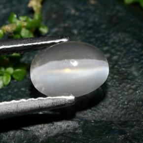 Sillimanite cat's eye gris naturelle coupe ovale, 1,39 ct, transparent
