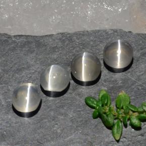 Achetez naturel 3,82ct blanc sillimanite cat's eye gems, coupe ovale, en provenance madagascar chez gemselect. en stock, livraison internationale!