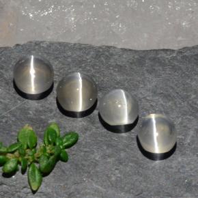 Achetez naturel 3,82ct blanc sillimanite cat's eye gems, coupe ovale, en provenance madagascar chez gemselect. en stock, livraison internationale!