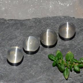 Achetez naturel 3,82ct blanc sillimanite cat's eye gems, coupe ovale, en provenance madagascar chez gemselect. en stock, livraison internationale!