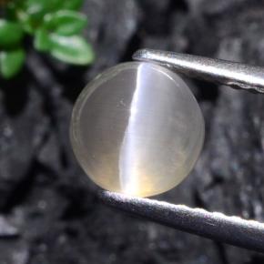 Sillimanite cat's eye gris naturelle coupe roude, 1,74 ct, translucide
