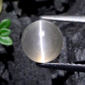 Sillimanite cat's eye gris naturelle coupe roude, 1,74 ct, translucide