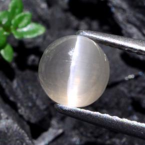 Sillimanite cat's eye gris naturelle coupe roude, 1,74 ct, translucide