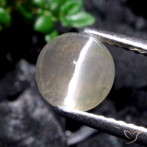 1.53ct Naturel Blanc chaud Sillimanite œil de chat, Tour, Translucide