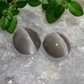 Achetez naturel 2.20ct Gris très clair Sillimanite œil de chat gems, Coupe ovale, En provenance Madagascar chez GemSelect. En stock, livraison internationale!