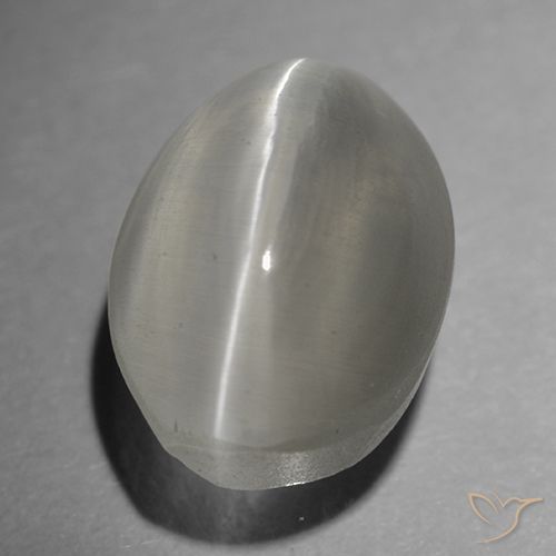 Sillimanite œil de chat gris naturelle coupe ovale, 1,65 ct, transparent