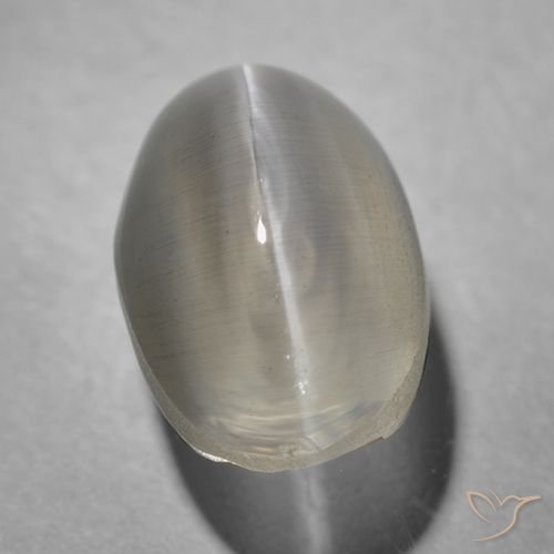 1.43ct Naturel Gris très clair Sillimanite œil de chat, ovale, Transparent