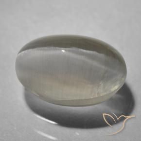 Sillimanite œil de chat Gris très clair naturelle ovale, 1.43 ct, Transparent