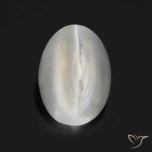 Sillimanite œil de chat Gris très clair naturelle ovale, 1.30 ct, Transparent