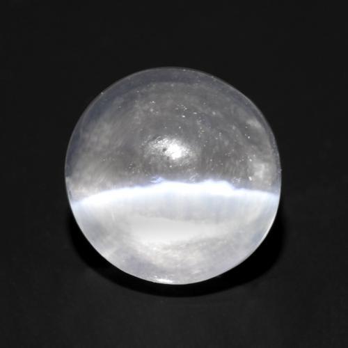 Sillimanite œil de chat Blanc translucide naturelle Coupe roude, 1.22 ct, Transparent