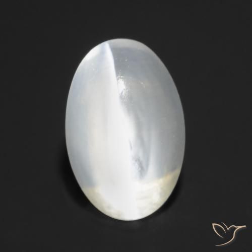 Sillimanite œil de chat Blanc translucide naturelle ovale, 1.27 ct, Transparent