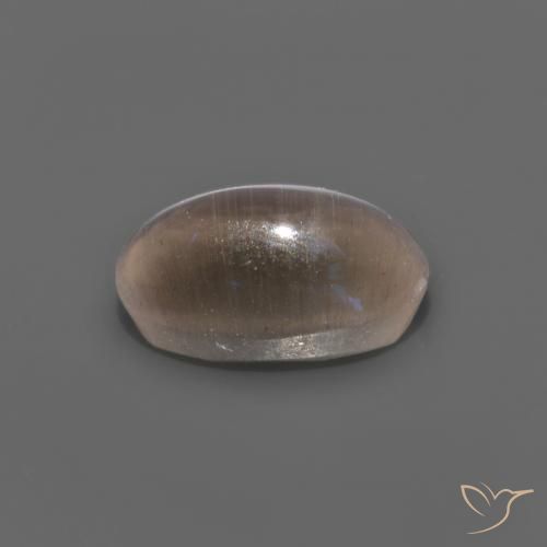 Sillimanite œil de chat Brun moyen naturelle ovale, 1.12 ct, Transparent