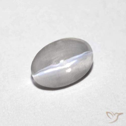 0.82ct Naturel Gris très clair Sillimanite œil de chat, ovale, Transparent