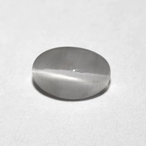 Sillimanite œil de chat Gris très clair naturelle Coupe ovale, 0.74 ct, Transparent