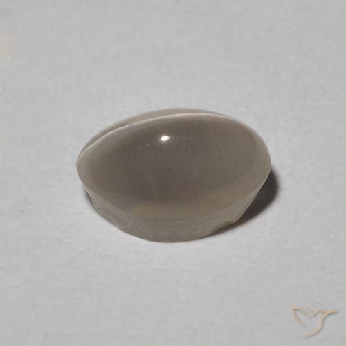 Sillimanite œil de chat Warm Grey naturelle ovale, 0.97 ct, Translucide