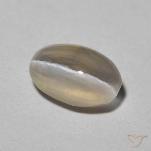 Sillimanite œil de chat Warm Grey naturelle Coupe ovale, 0.93 ct, Translucide