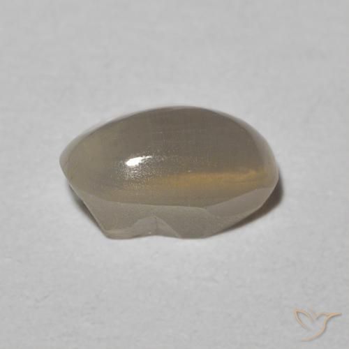Sillimanite œil de chat Warm Grey naturelle Coupe ovale, 0.93 ct, Translucide