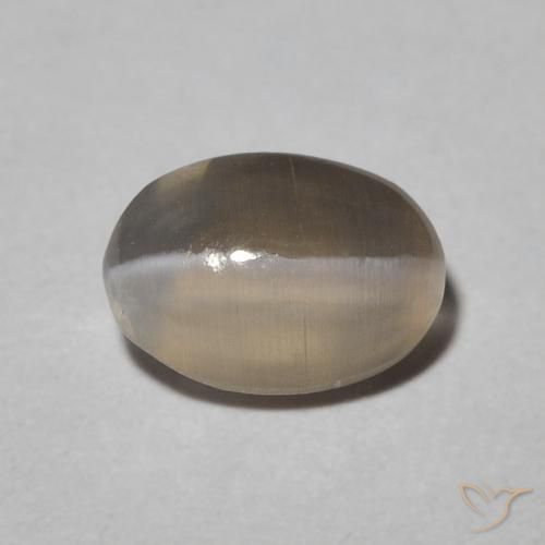 1.09ct Naturel Warm Grey Sillimanite œil de chat, ovale, Translucide