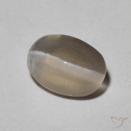 Sillimanite œil de chat Warm Grey naturelle ovale, 1.09 ct, Translucide