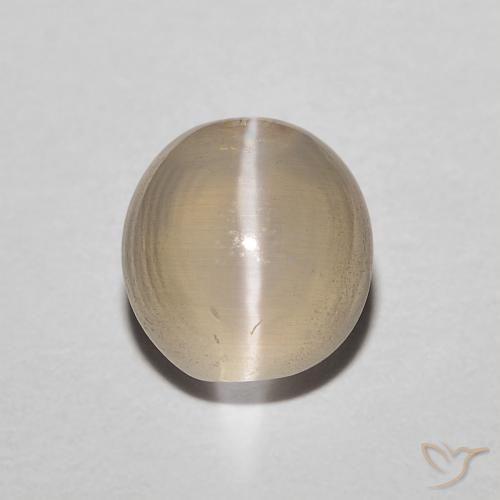 1.43ct Naturel Jaune clair Sillimanite œil de chat, ovale, Translucide