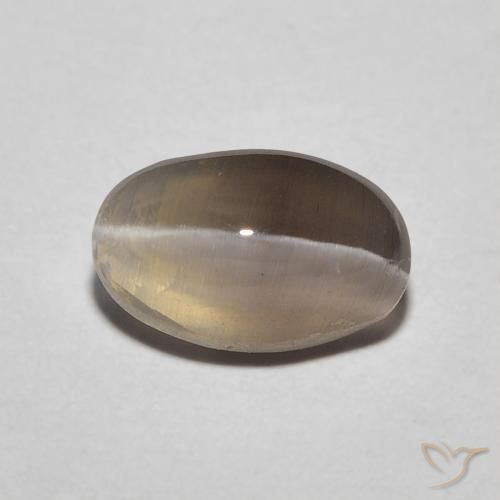 1.20ct Naturel Brun espresso Sillimanite œil de chat, ovale, Translucide