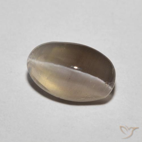 Sillimanite œil de chat Brun espresso naturelle ovale, 1.20 ct, Translucide