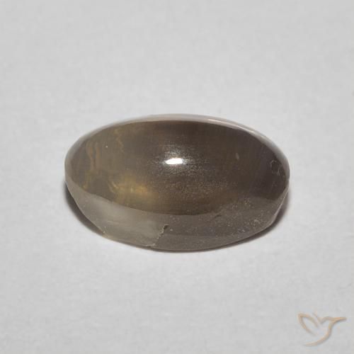 Sillimanite œil de chat Brun espresso naturelle ovale, 1.20 ct, Translucide