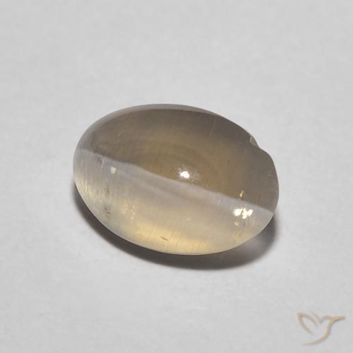 Sillimanite œil de chat Brun neutre naturelle ovale, 1.11 ct, Translucide